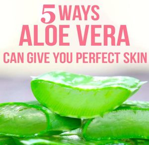 Aloe vera masks for oily skin